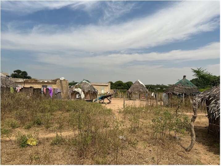 Senegal 4